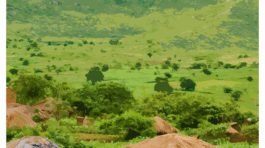 Malawi Test Travel Poster