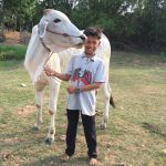 CB boy and cow (2)